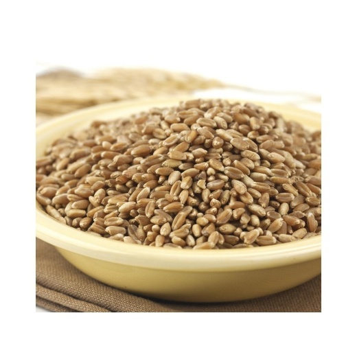 Hard Red Winter Wheat 50Lb - Ideal for Baking