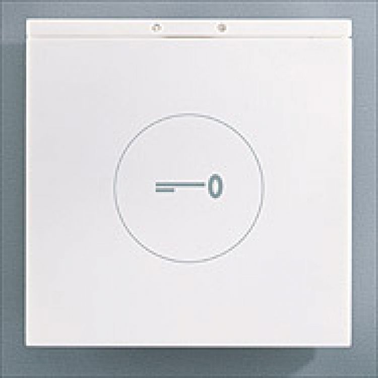 Prox. Panel Module Only--White. Used With Pt001b Prox. Tags And Powers With T1240 12Vac Transformer