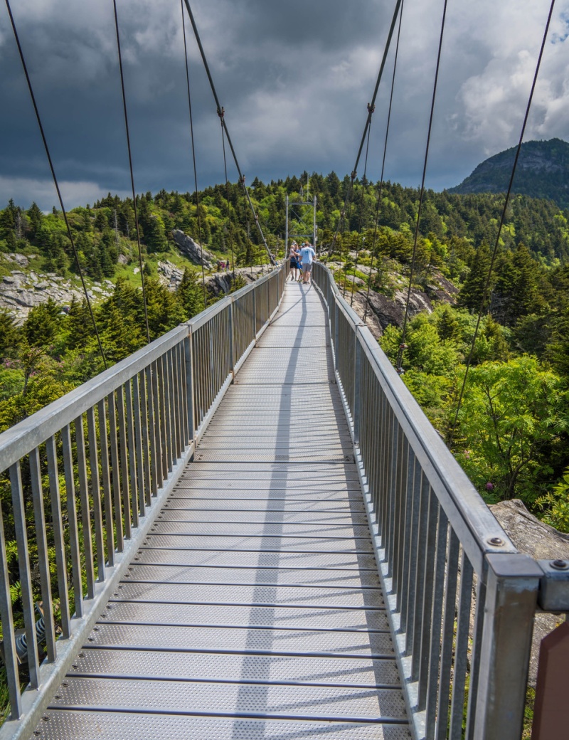Skywalk Through The Mountains Giclee