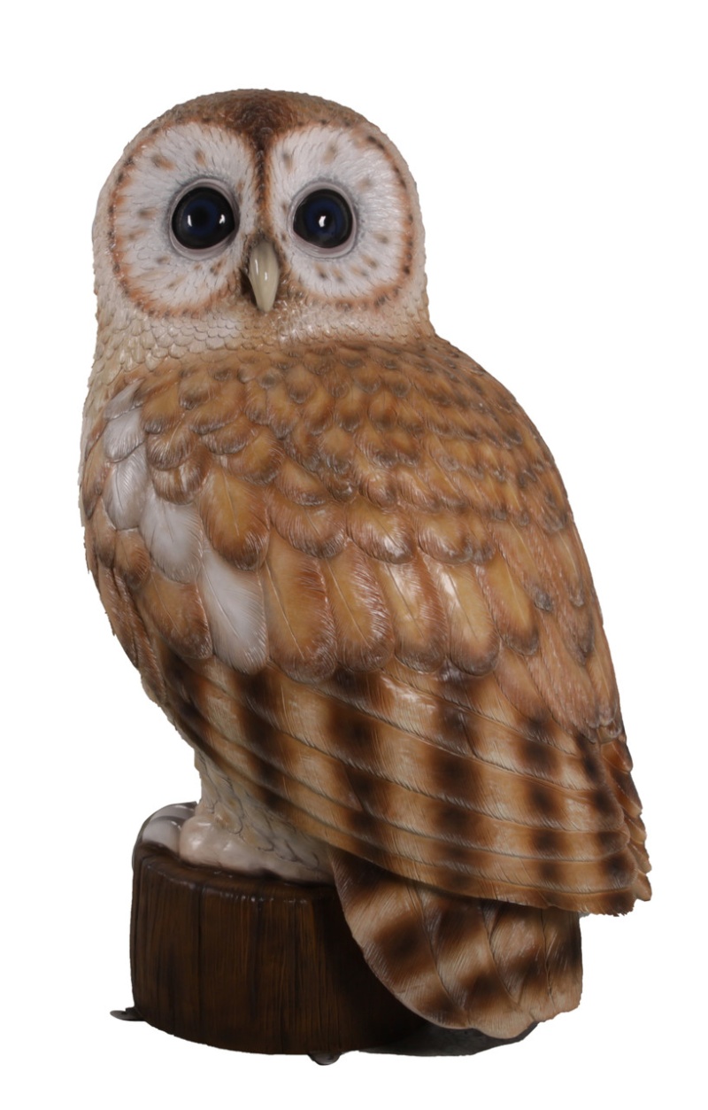 Tawny Owl 5Ft