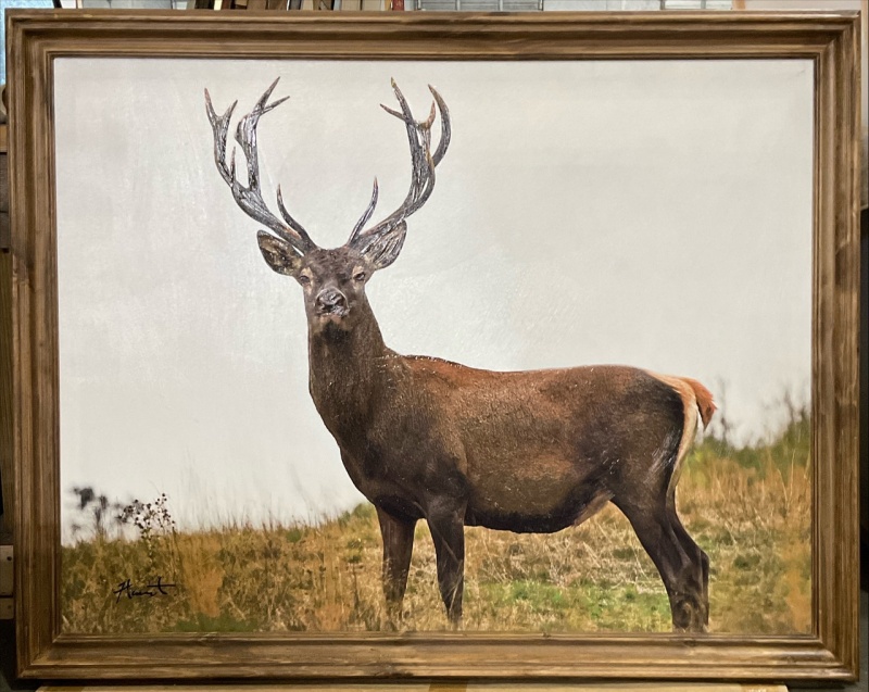 Regal Elk Framed Giclee