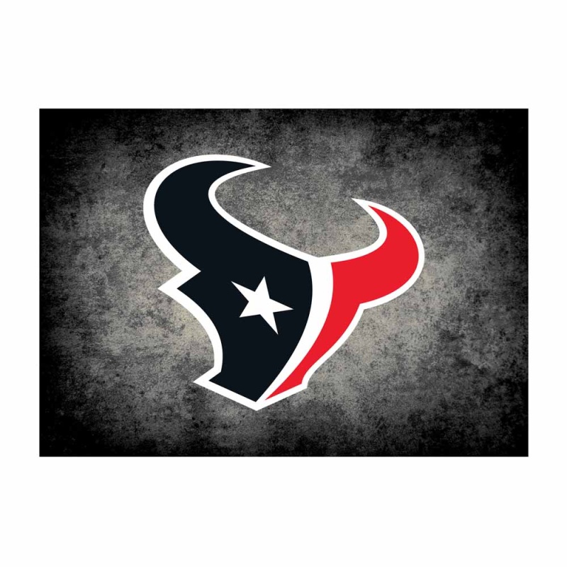 Houston Texans 8'X11' Distressed Rug