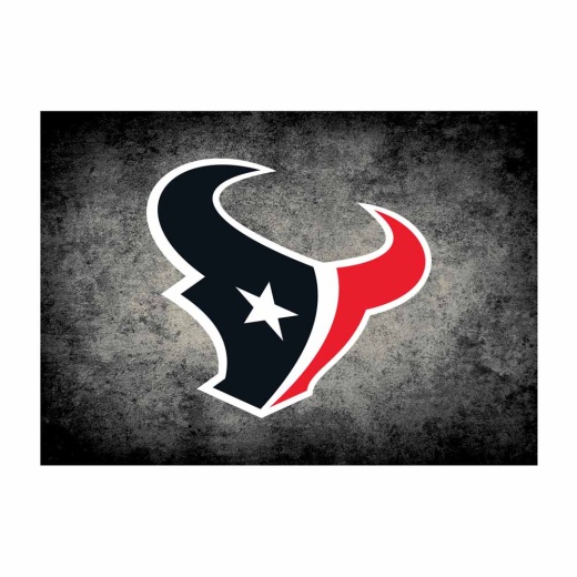 Houston Texans 4'X6' Distressed Rug