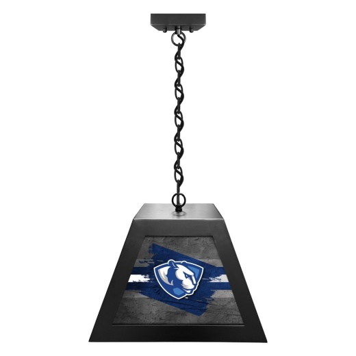 Eastern Illinois University Pendant Box Light By Holland Bar Stool Company