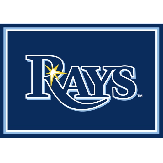 Tampa Bay Devil Rays 3X4 Area Rug