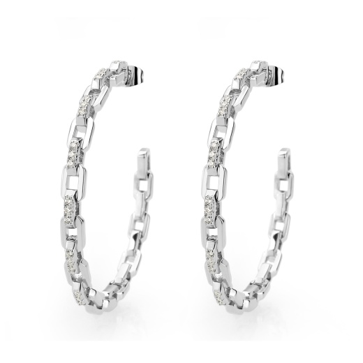 Alamode 3W1735 - Imitation Rhodium Brass Earring with AAA Grade CZ in Clear