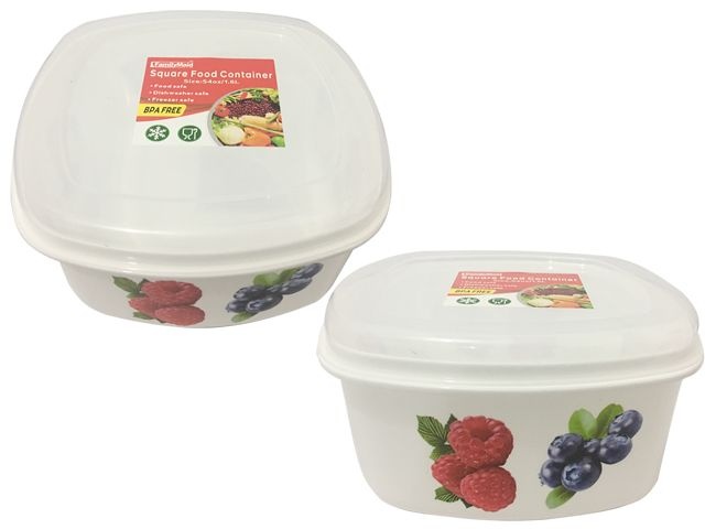 60 Pieces Square Printed Food Container - Food Storage Containers
