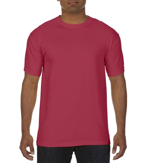 24 Pieces Men's Brick Short Sleeve T-Shirts, Size Large - Mens T-Shirts