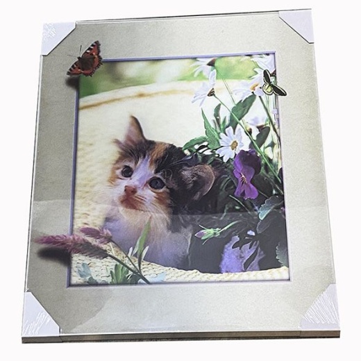 12 Pieces Kitty Play With The Butterfly Canvas - Wall Decor