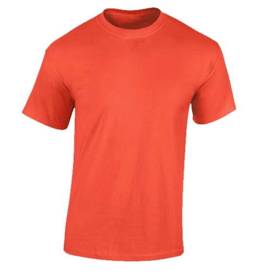 24 Pieces Men's Fruit Of The Loom Burnt Orange Cotton T-Shirts, Size Medium - Mens T-Shirts