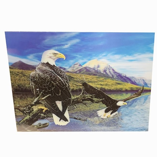 48 Pieces Eagles Canvas Picture - Wall Decor