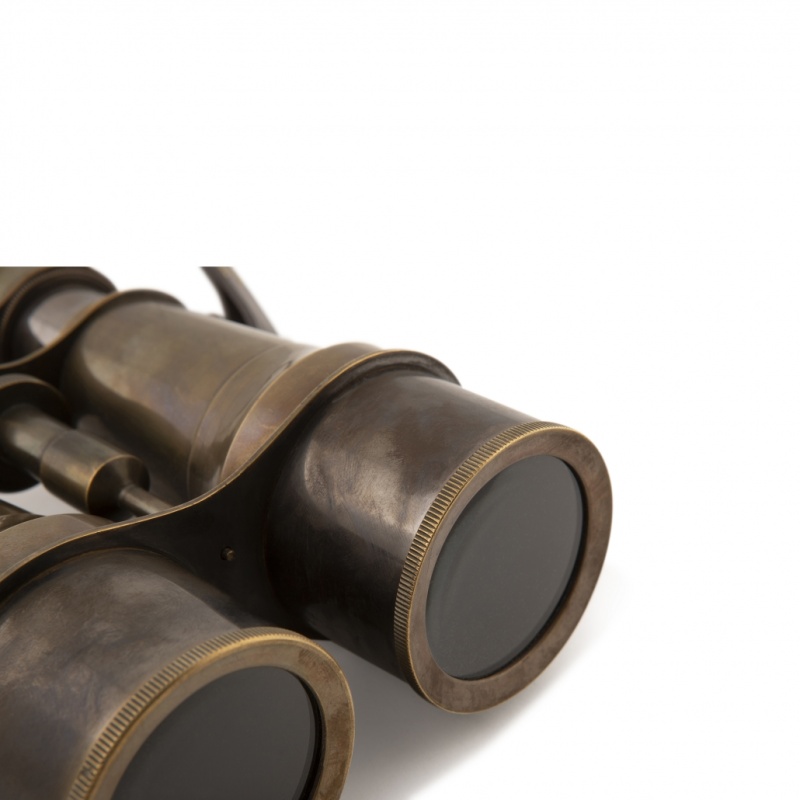 Victorian Binoculars, Bronze
