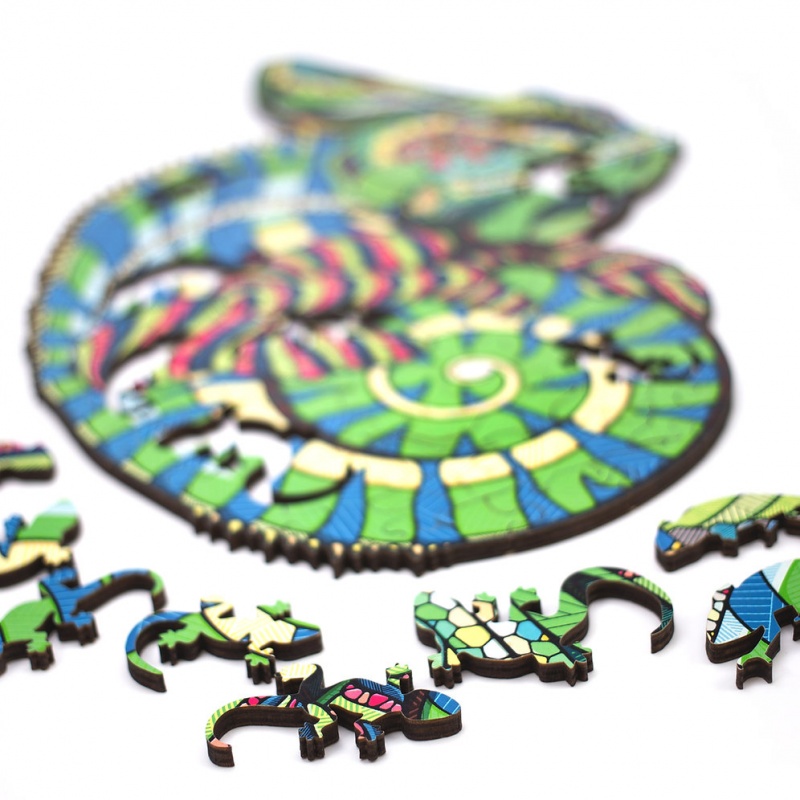 Chameleon Classic Puzzle