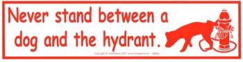 Never Stand Between A Dog And The Hydrant Bumper Sticker