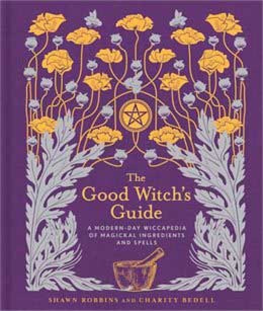 The Good Witch's Guide by Robbins & Bedell - Wiccan Magic and Lore