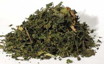 Nettle Stinging Leaf Cut 2Oz (Urtica Dioica) - Natural Protection and Healing