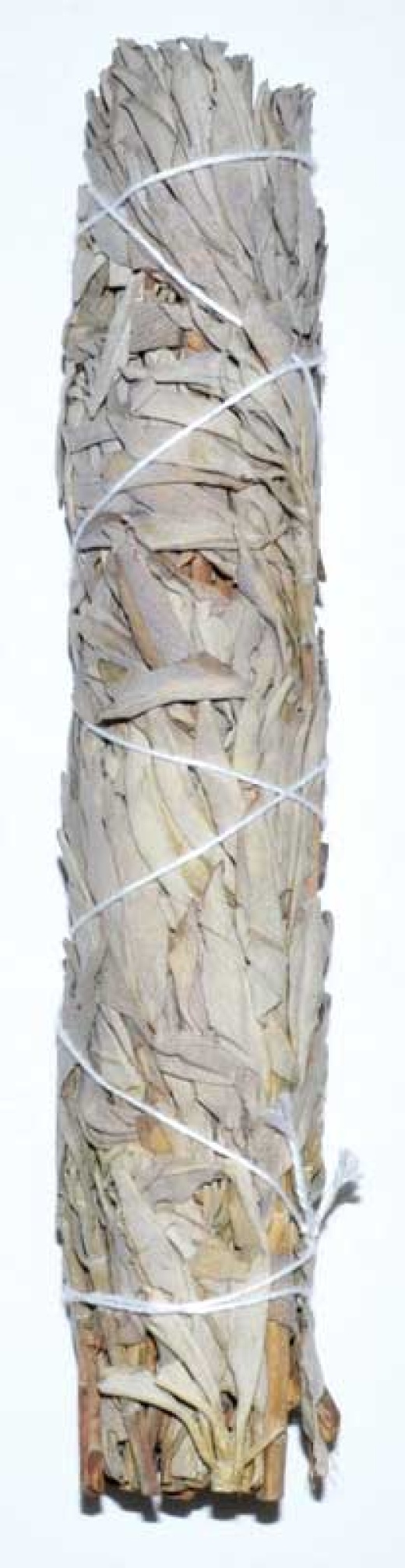 9" White Sage Smudge Stick - Purify Your Space and Promote Spiritual Growth