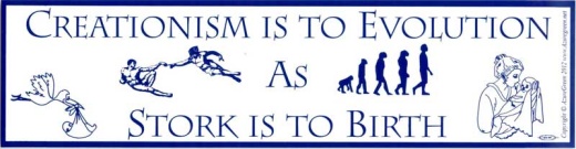Creationism Is To Evolution As Stork Is To Birth Bumper Sticker
