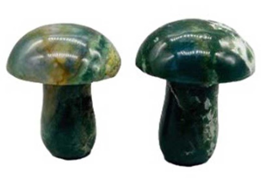 Mushroom Moss Agate Crystal Set of 2 for Good Luck and Energy
