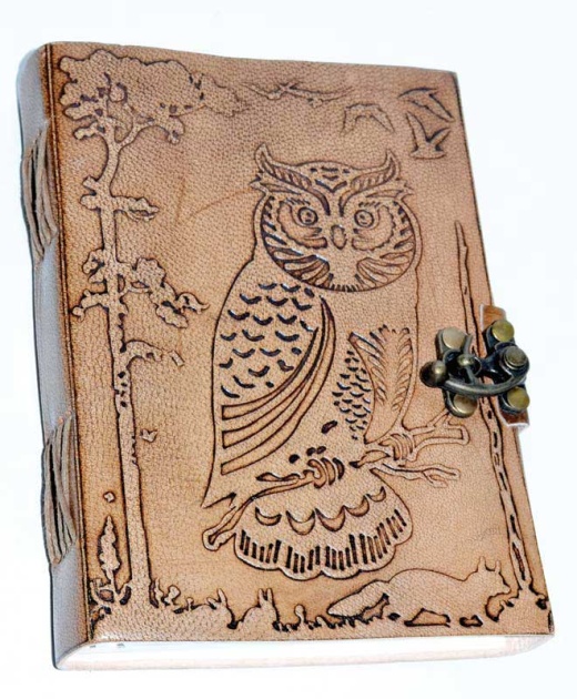 5" x 7" Owl in Jungle Leather Journal with Latch