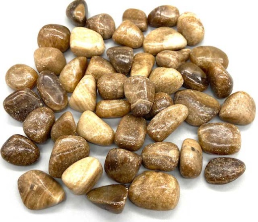 1 Lb Aragonite Tumbled Stones for Grounding and Balance