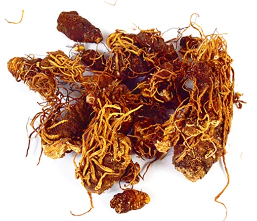 1 Lb Beth Root Whole - Protective Magic and Love