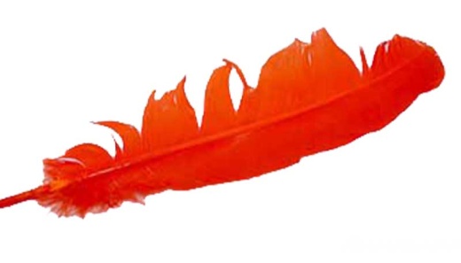 Orange Feather 12"