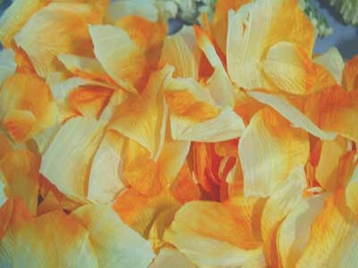 Orange - Silk Flower Petal - ( 400 Petals )