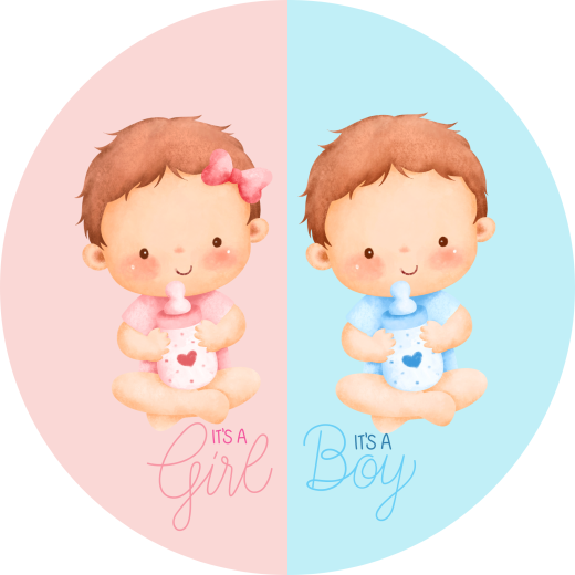Baby Twins It's A Girl And A Boy Metal Sign - Made In Usa