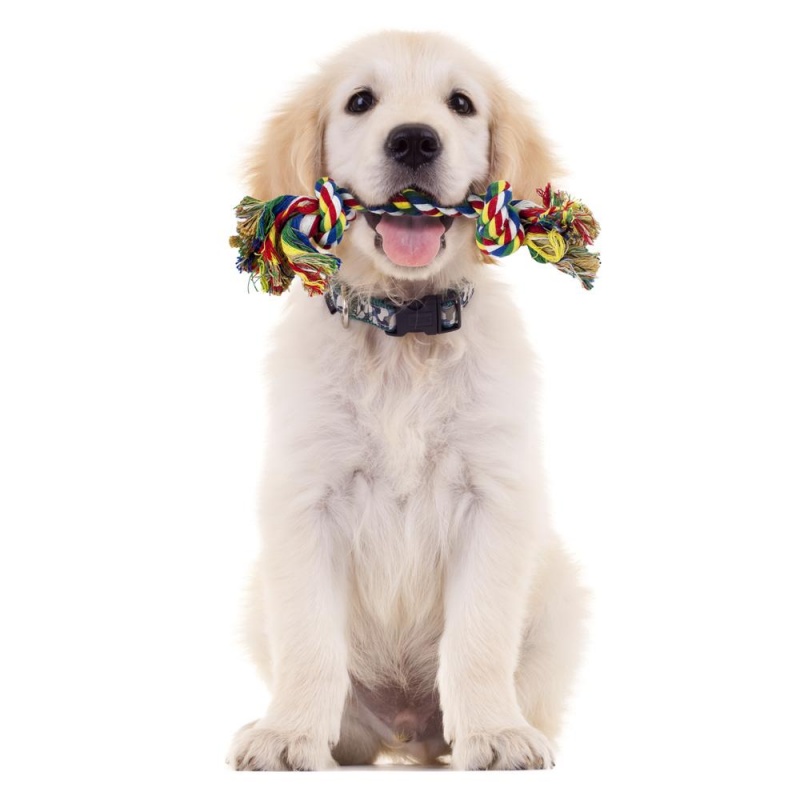 Cotton Flossin' Rope Bone Dog Toy