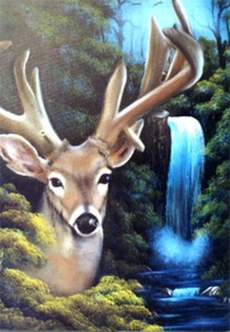 Bob Ross Waterfall Buck