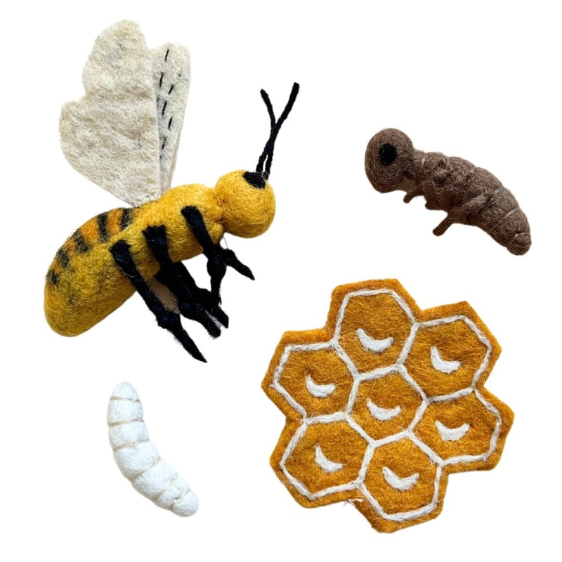 Felt Lifecycle of a Honey Bee Set
