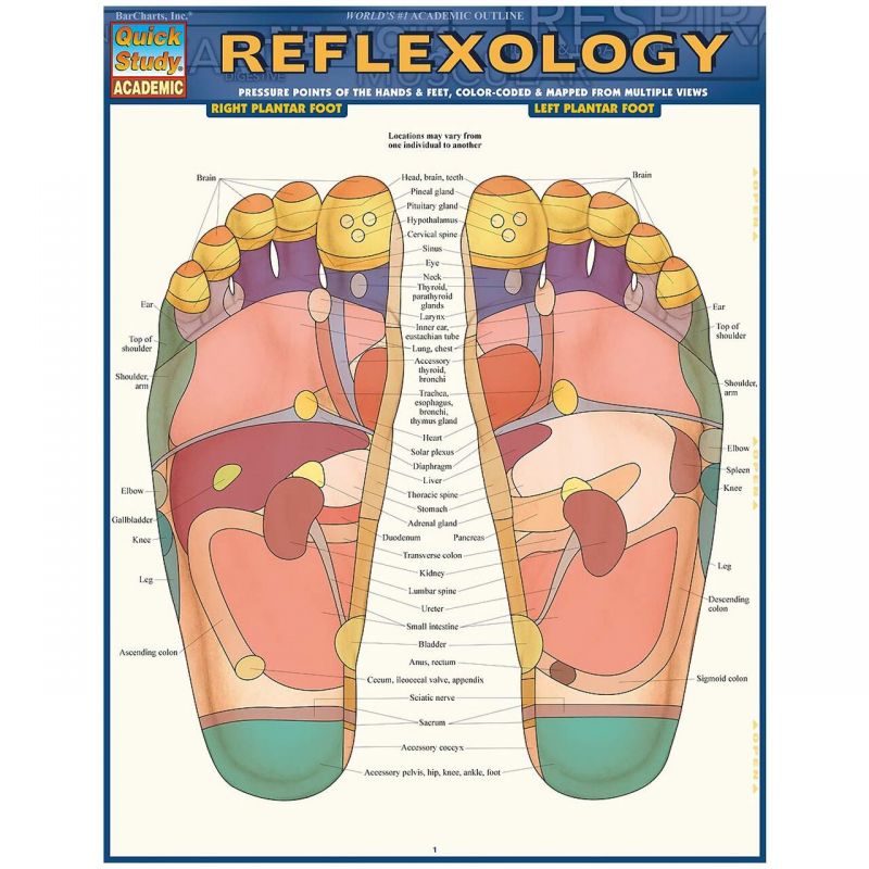 Quickstudy | Reflexology Laminated Study Guide