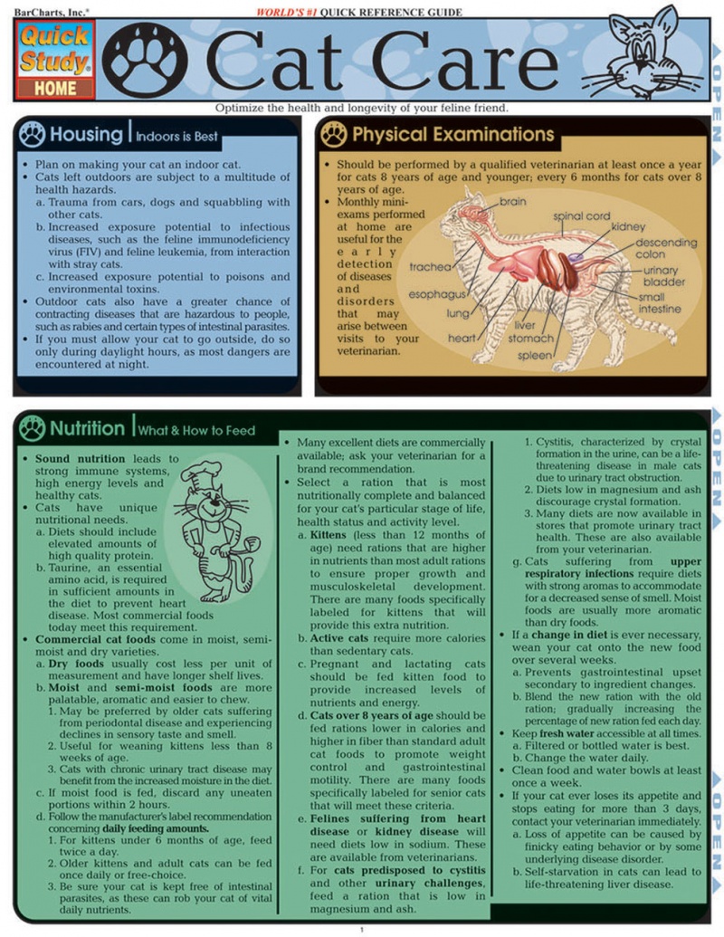 Quickstudy | Cat Care Laminated Reference Guide
