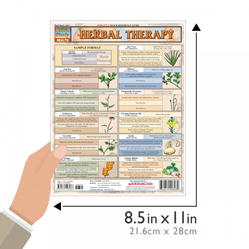 Quickstudy | Herbal Therapy Laminated Reference Guide