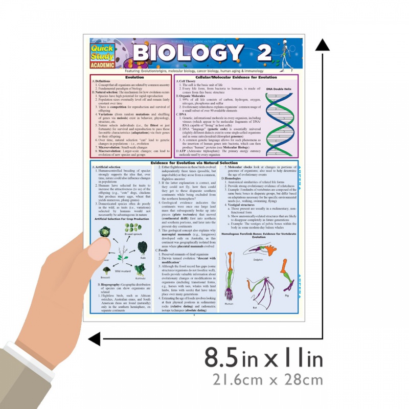 Quickstudy | Biology 2 Laminated Study Guide