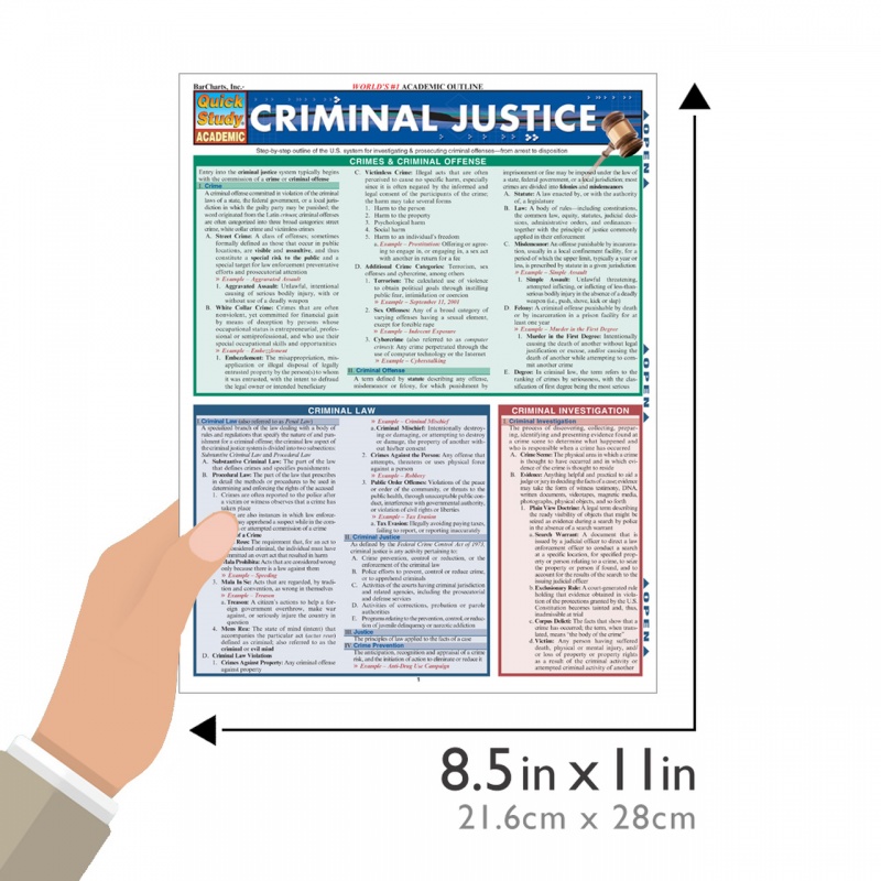 Quickstudy | Criminal Justice Laminated Study Guide