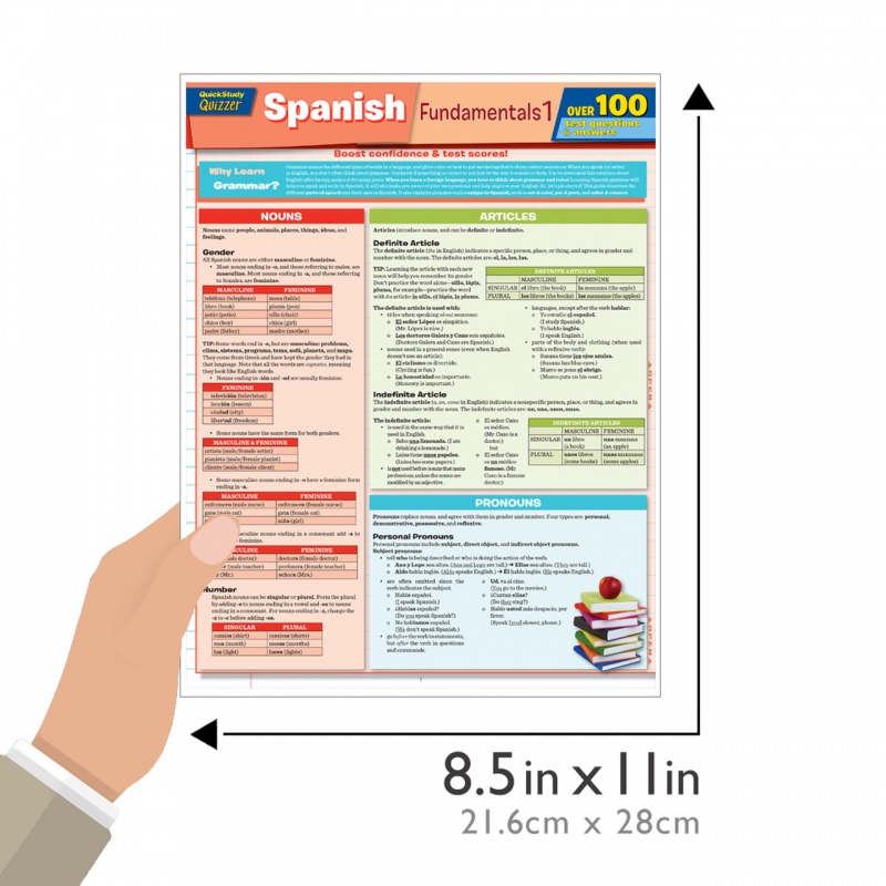 Quickstudy | Spanish Fundamentals 1 Quizzer Laminated Study Guide