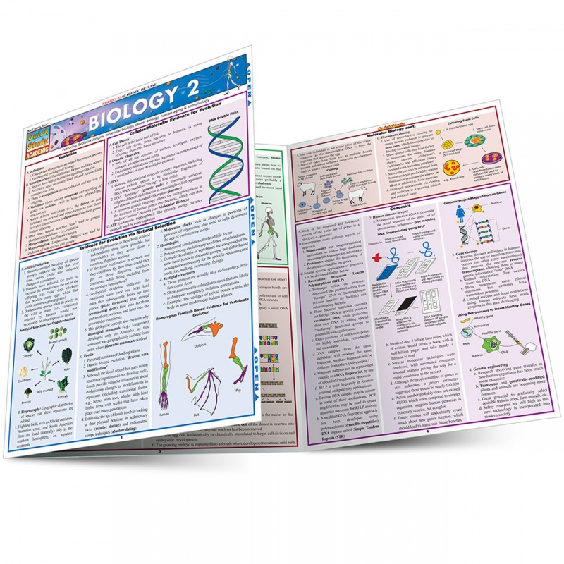 Quickstudy | Biology 2 Laminated Study Guide