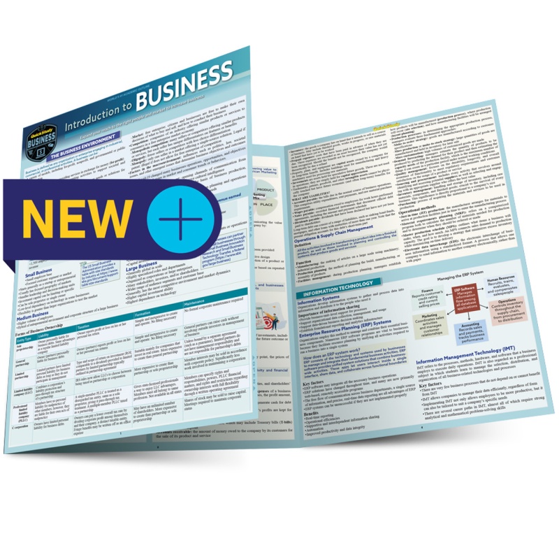 Quickstudy | Introduction To Business Laminated Study Guide