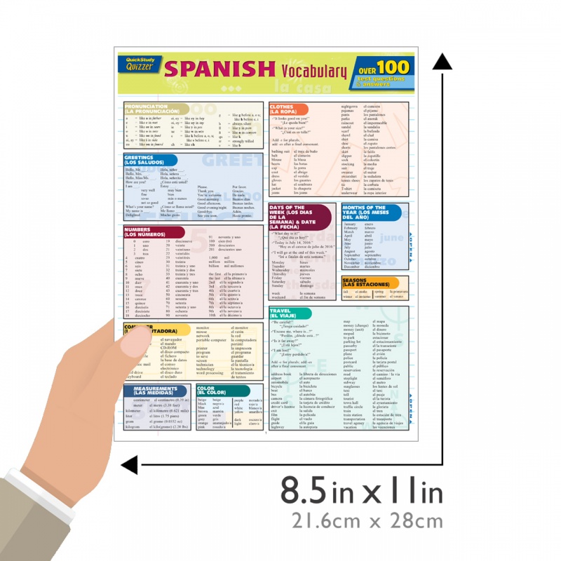 Quickstudy | Spanish Vocabulary Quizzer Laminated Study Guide