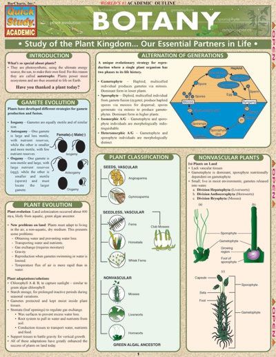Quickstudy | Botany Laminated Study Guide