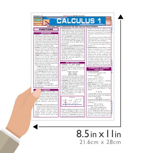 Calculus 2: A Quickstudy Laminated Reference Guide (Other)