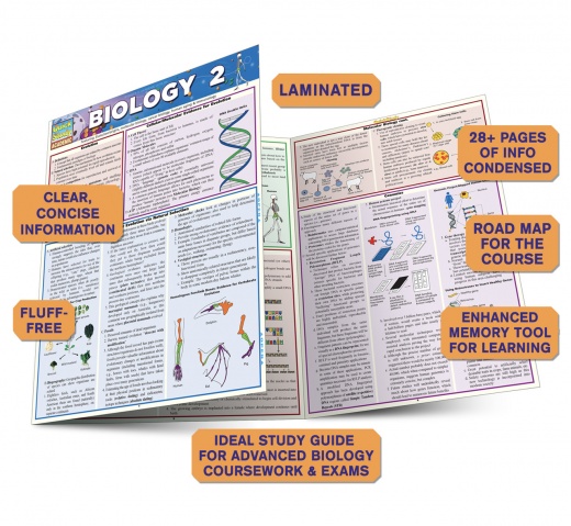 Quickstudy | Biology 2 Laminated Study Guide - Buy Online