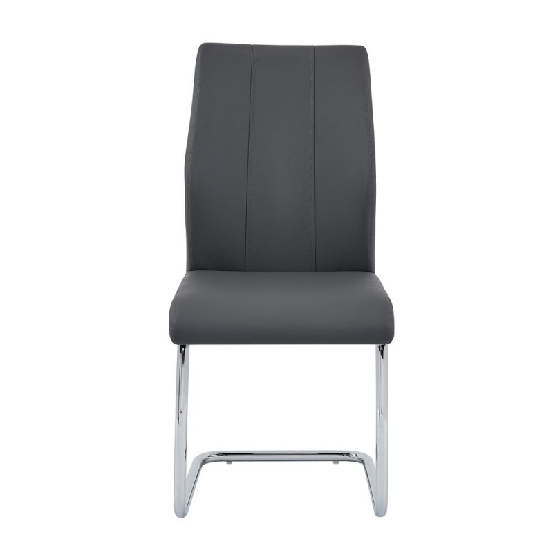 Gudmund 2-Piece Modern Dining Chairs In Gray
