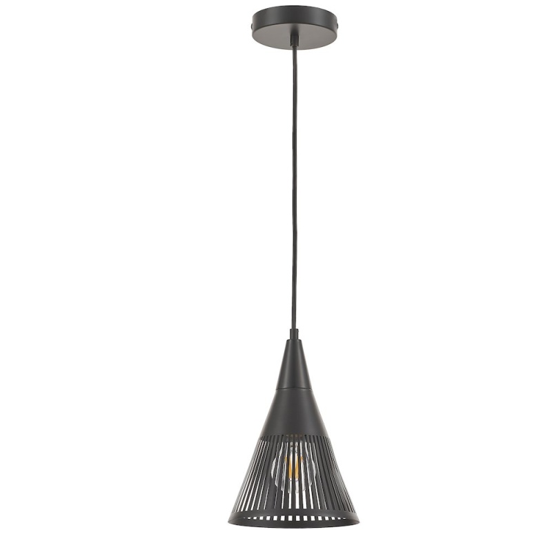 1 Light Pendant in Matte Black