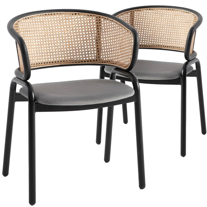Ervilla Modern Dining Chair