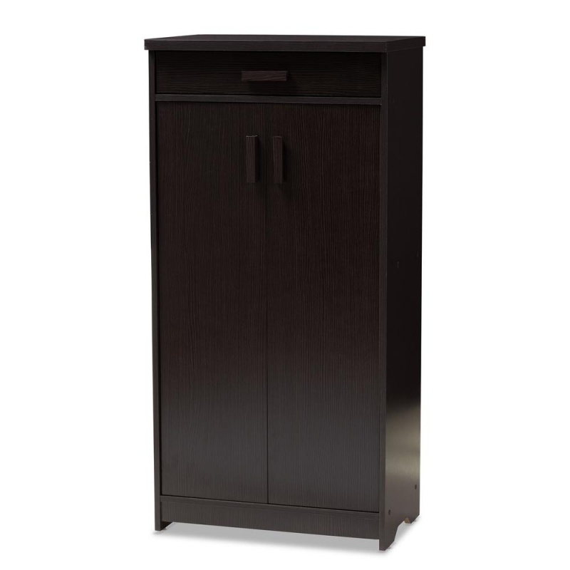 Bienna Modern And Contemporary Wenge Brown Finished Shoe Cabinet