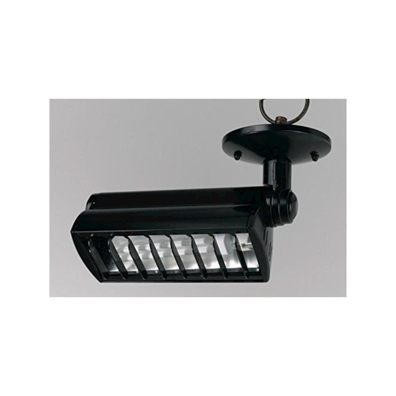 Ceiling Mount CFL Light