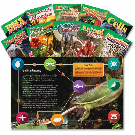 Shell Education Grade 4-5 Life Science Books